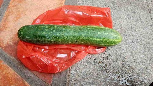 什么瓜吃不着,探寻生活中的趣味与哲理