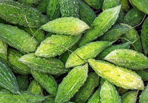 吃毛瓜会反酸吗,了解毛瓜对胃酸的影响