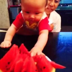 吃瓜程程,揭秘娱乐圈幕后故事