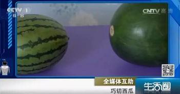 路边吃瓜不吐籽,品味生活点滴