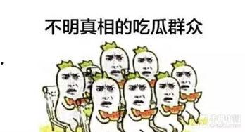 下瓜园吃瓜群众是谁,揭秘下瓜园的神秘人物