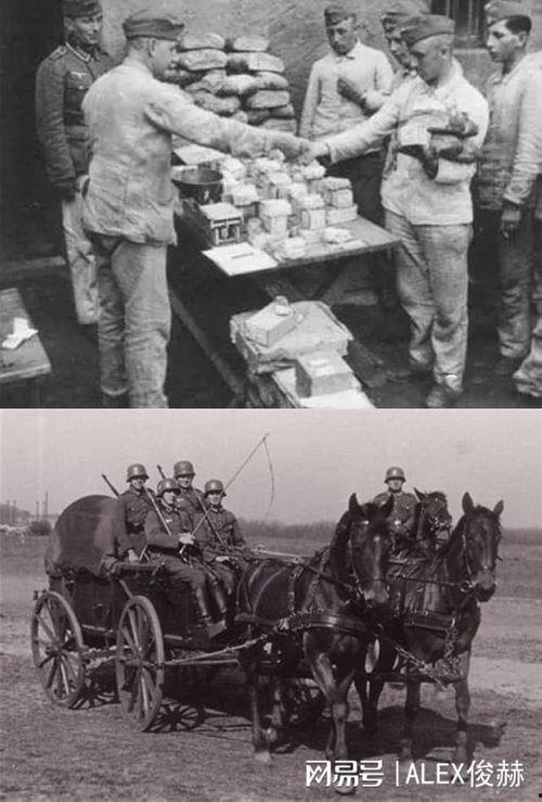 德军吃瓜,战时瓜农的传奇故事